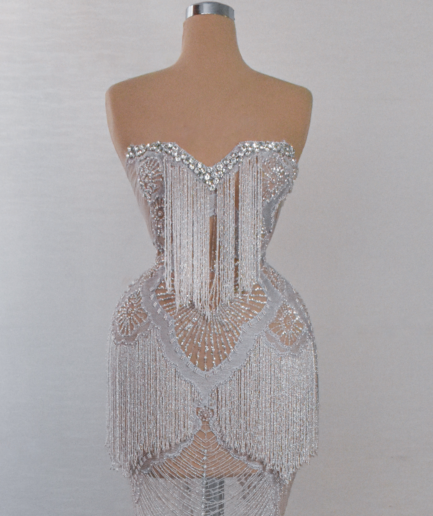 Silver Long Lace Dress with Silver Embellishments