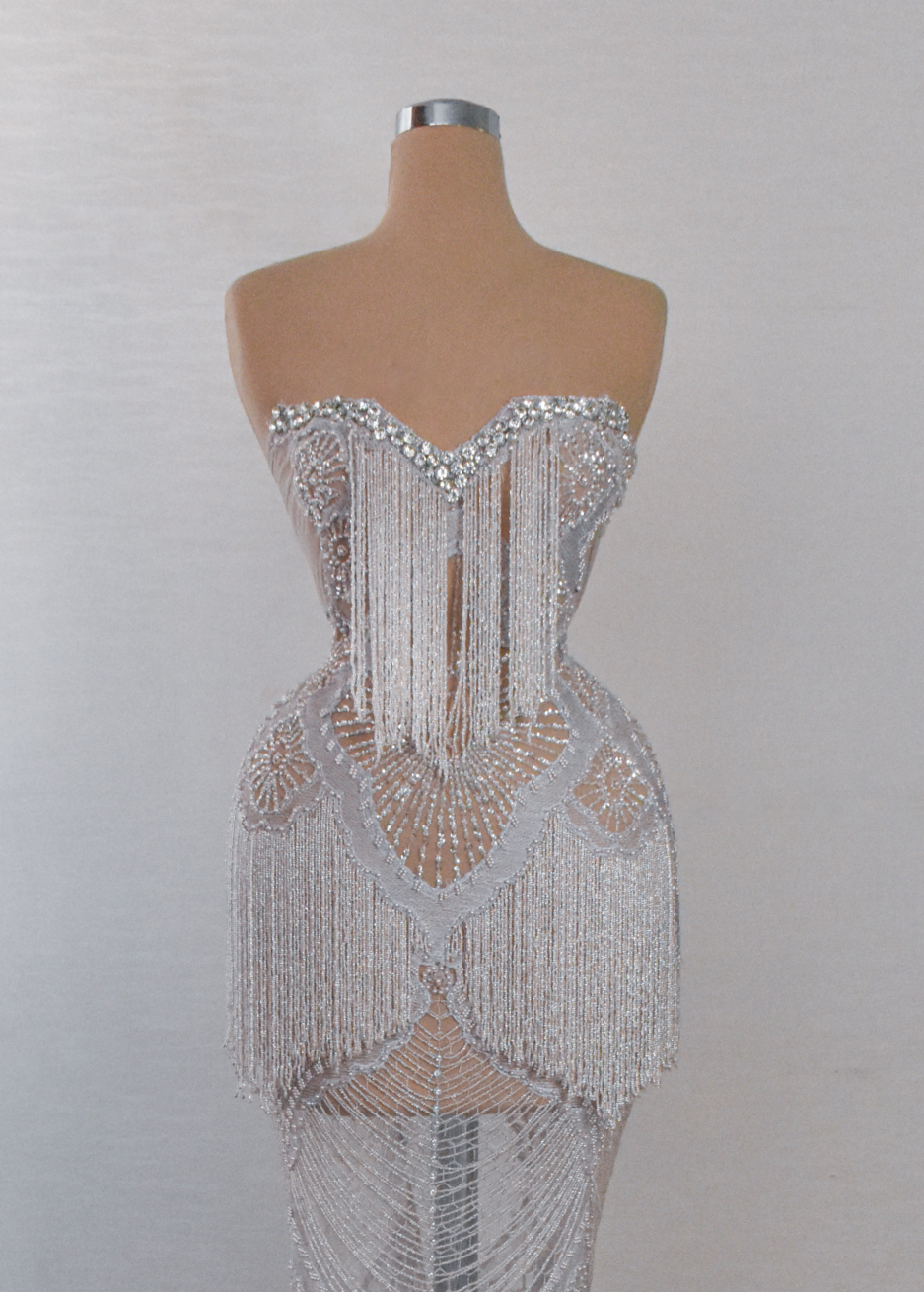 Silver Long Lace Dress with Silver Embellishments