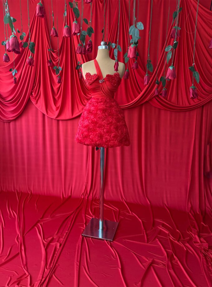 Red Rosette Skirt Mini Dress - Heart Rhinestone Halter Party Dress